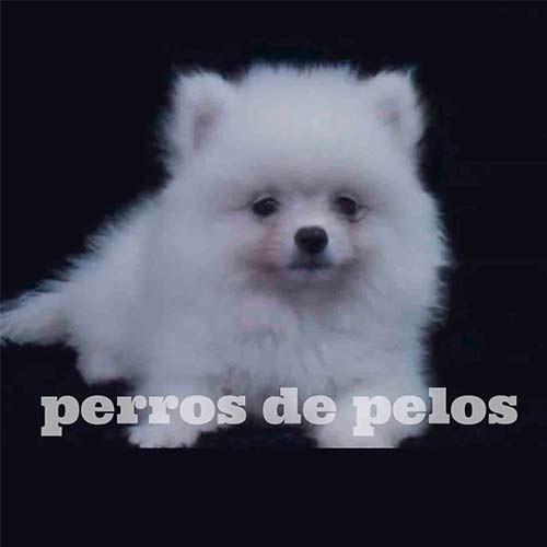 pom4